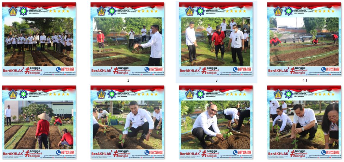 GERAKAN TANAM PANGAN CEPAT PANEN DI LINGKUNGAN RUMAH SAKIT BALI MANDARA